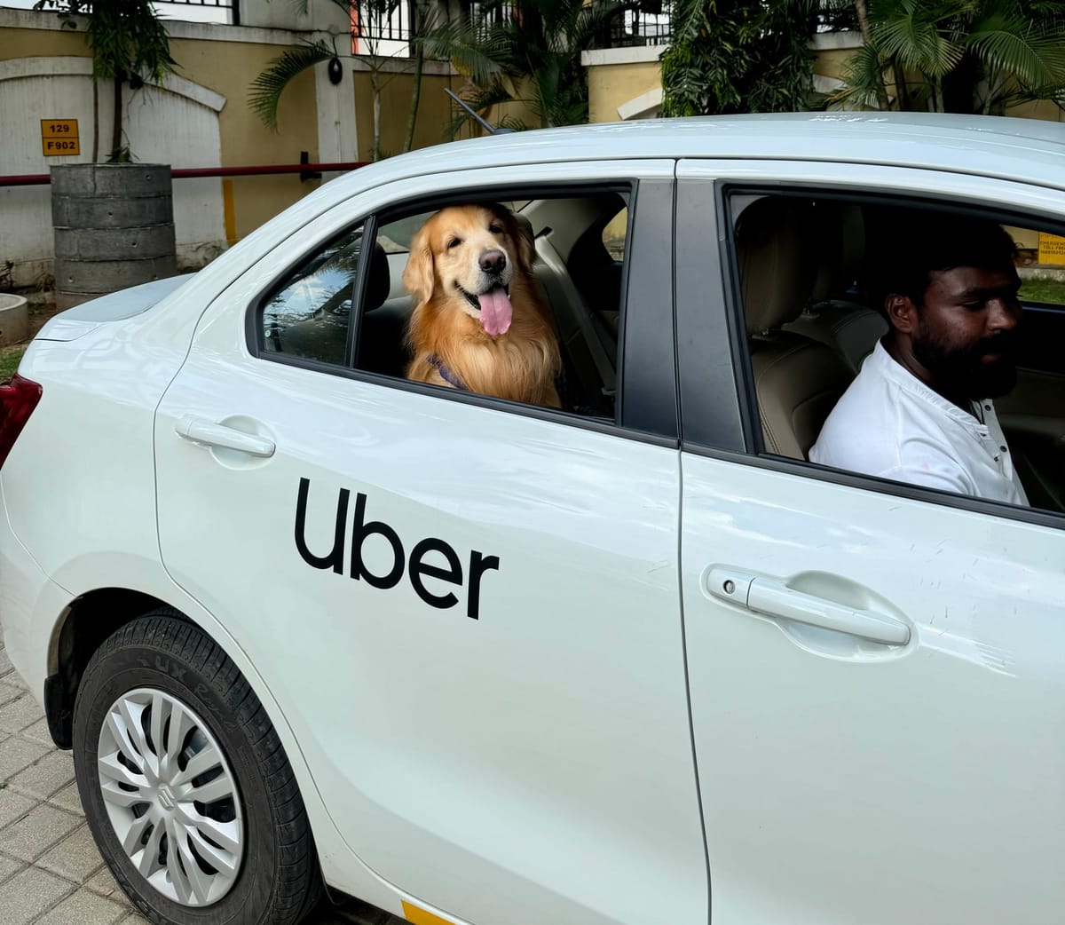 Uber Pet launches in Bangalore